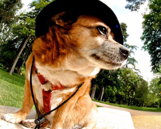 Posando en el Retiro